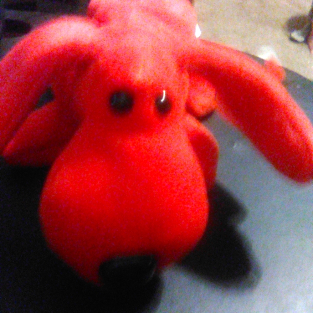 Yo retired Ty Beanie Baby Rover with errors